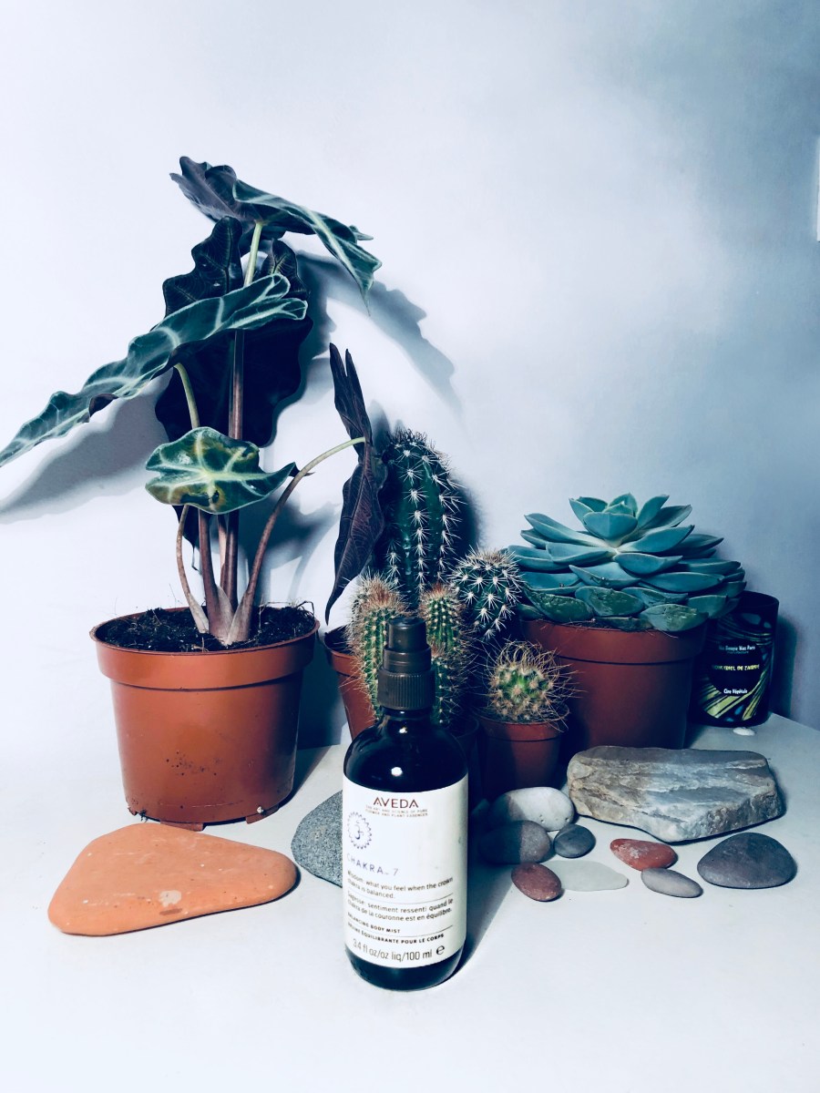 bien_être_meditation_routine