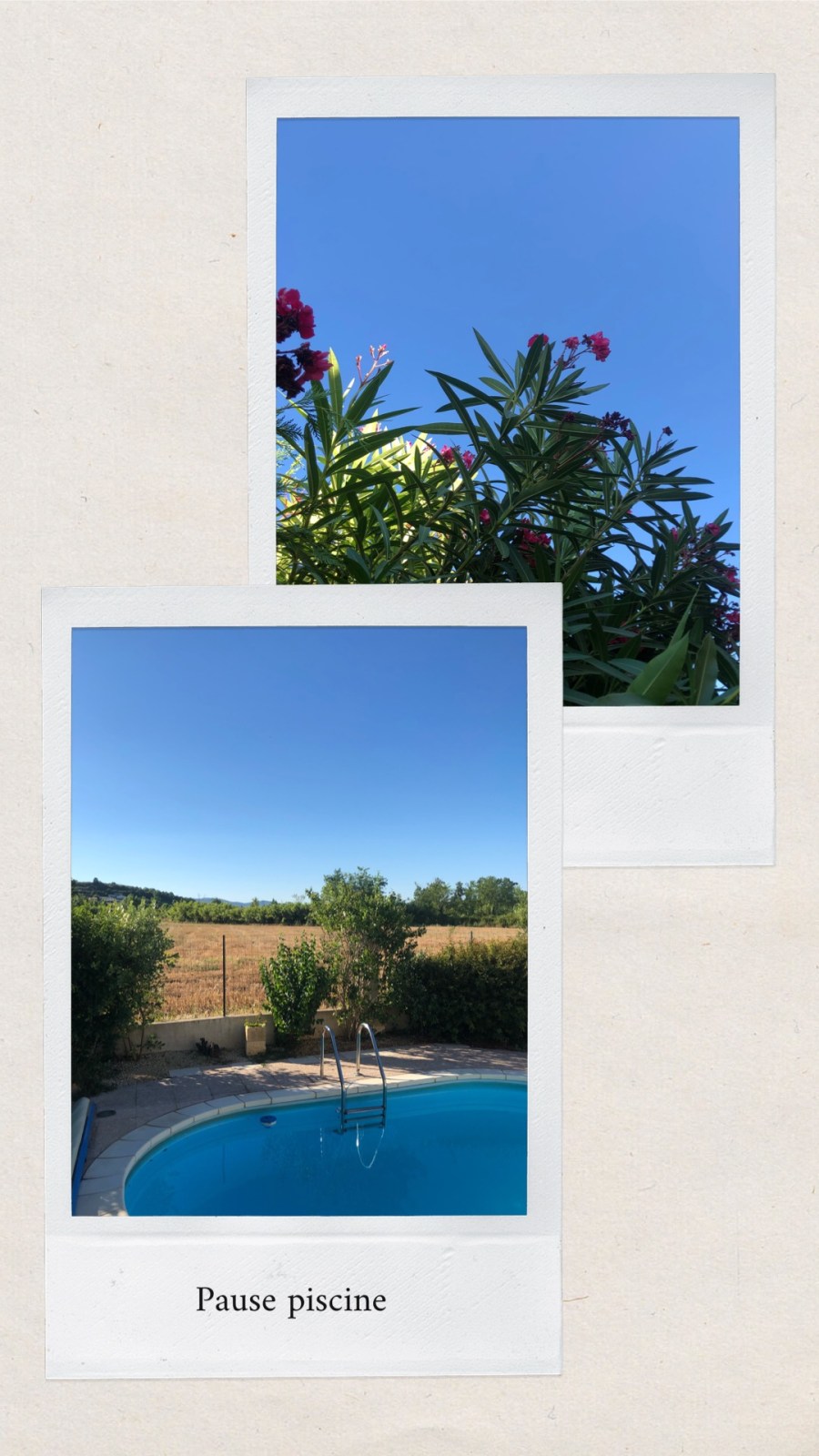 BFDEA2FF-37E6-468F-9171-043A6A08C235